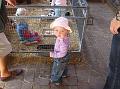 Sofia i  FarmFun 081